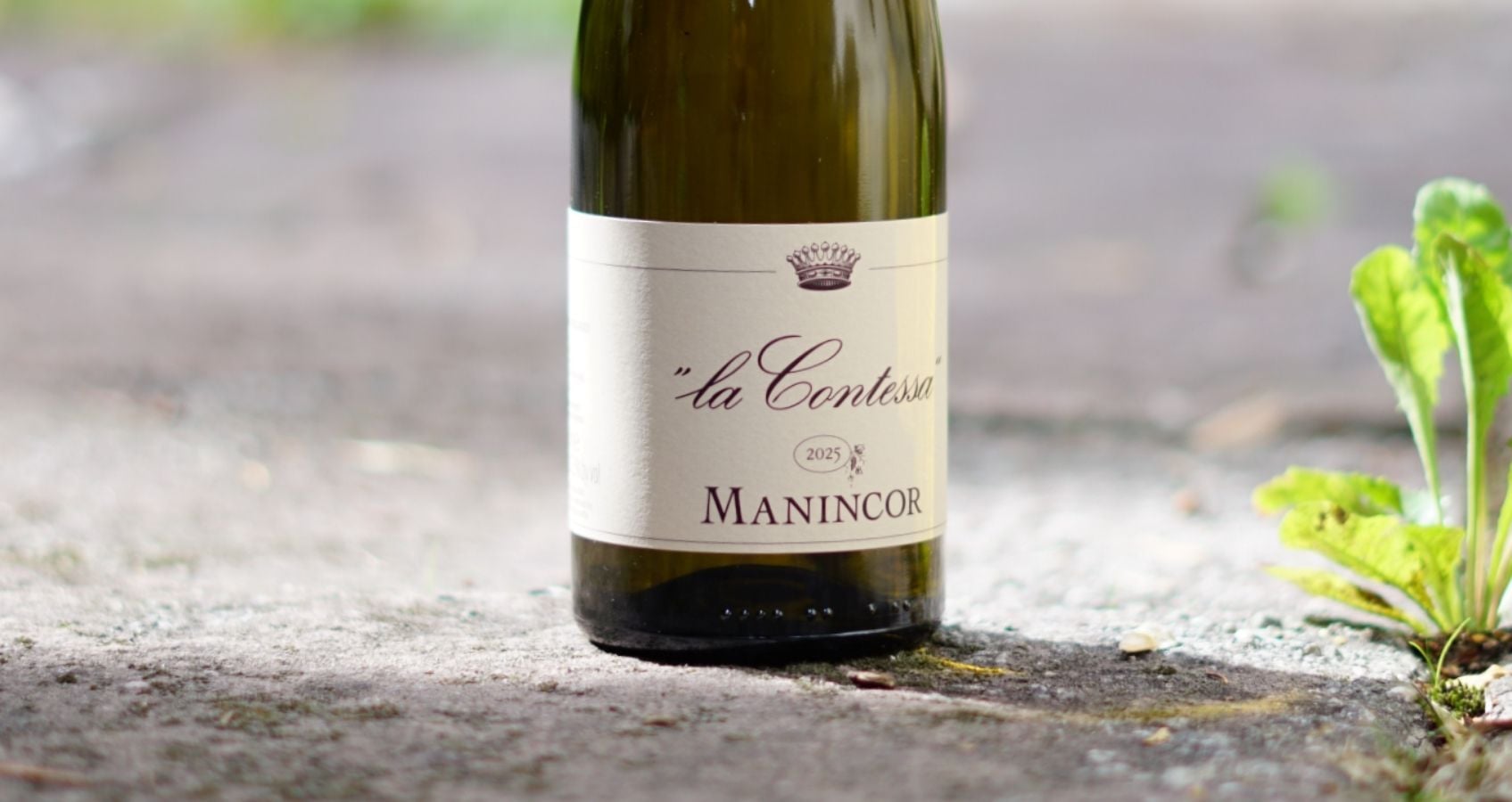 Wein des Monats draußen