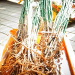 20121003-135334.jpg