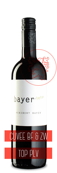 2015_01_wdm_bayerlein