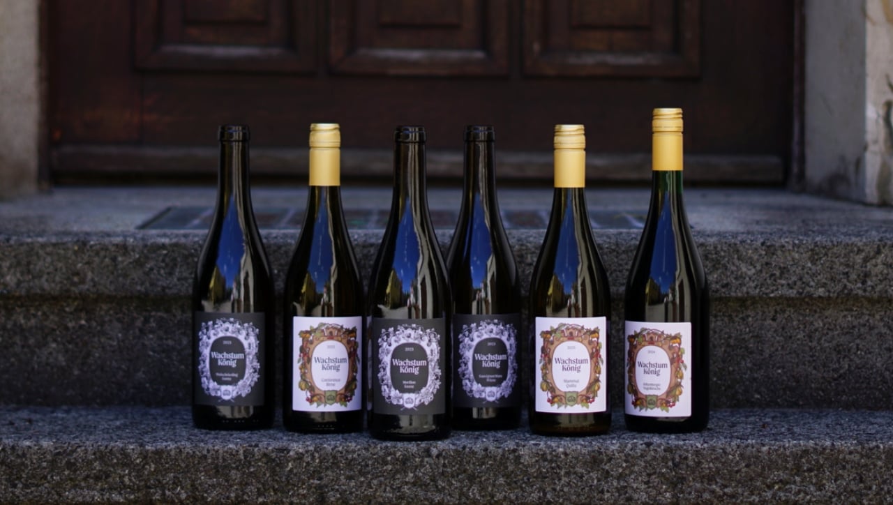 Flaschen vom Weingut Wachstum-König
