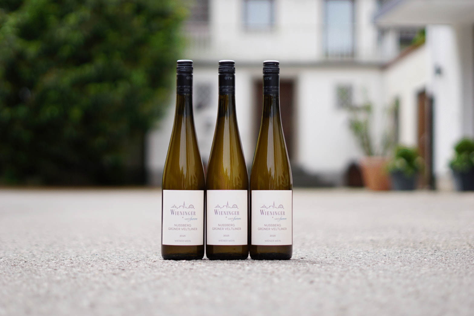 Grüner Veltliner Nussberg vom Weingut Wieninger