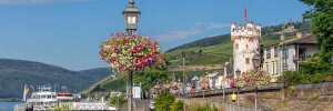 Rheingau