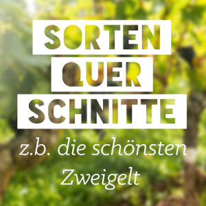 Sortenquerschnitte