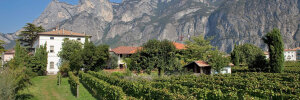 Trentino