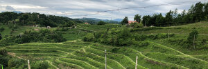 Stajerska Slovenija