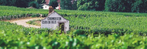 Burgund