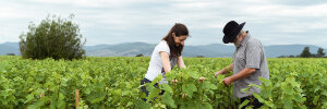 Domaine Chamonard