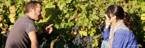 Domaine Calvez-Bobinet
