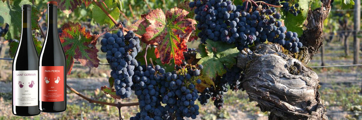Wines from Claire & Florent Bejon, Loire, France - Weinfurore