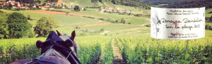 Domaine Dandelion
