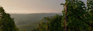 Piemont