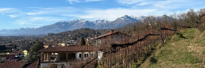 Tenute Vercellino