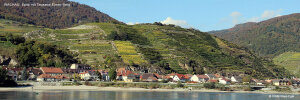 Wachau
