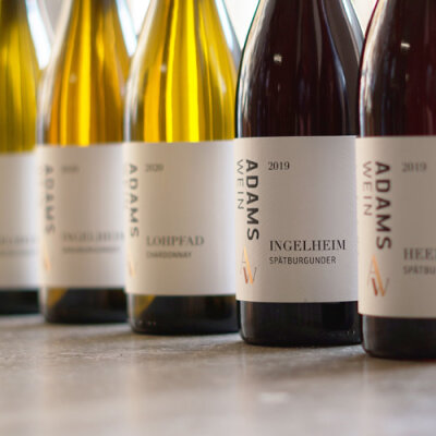 Viel neues am Weingut Simone Adams aus Ingelheim - Viel neues am Weingut Simone Adams aus Ingelheim