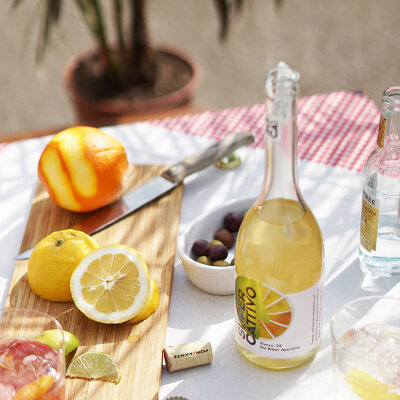 Super Cattivo ein Natur-Aperitiv aus dem Burgenland - Super Cattivo ein Natur-Aperitiv aus dem Burgenland