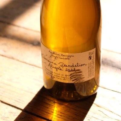 Dandelion - pure and structured Burgundy - Dandelion - pure and structured Burgundy