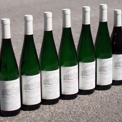 Messerscharfe 2020er Riesling vom Hofgut Falkenstein - Messerscharfe 2020er Riesling vom Hofgut Falkenstein