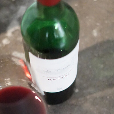 Saftiger Teroldego vom Kult-Weingut Foradori ist der Wein des Monats - Saftiger Teroldego vom Kult-Weingut Foradori ist der Wein des Monats