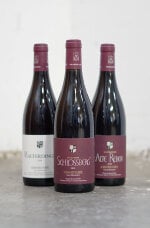 Huber B. - Spätburgunder Schlossberg GG 2022 im Paket *L1
