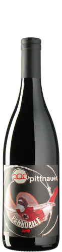 Pittnauer - Pannobile 2017 *bio