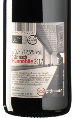 Pittnauer - Pannobile 2017 *bio
