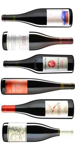 French Red Wines (6 bottle mixed tasting set)