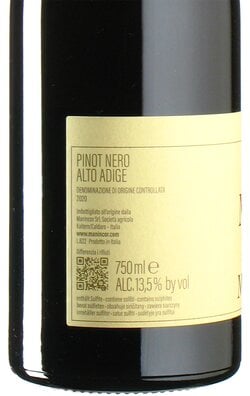 Pinot Noir Mason 2020