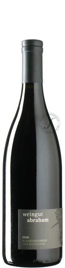 Weingut Abraham - Blauburgunder vom Muschelkalk 2020