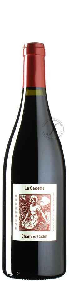 La Soeur Cadette - Pinot Noir Bourgogne Rouge Champs Cadet 2022