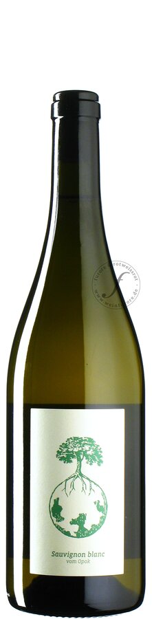 Werlitsch - Sauvignon Blanc vom Opok 2021