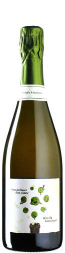 Kissinger - Blanc de Blancs Sekt Brut Nature 2022 *bio *L1