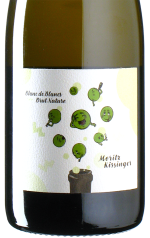 Kissinger - Blanc de Blancs Sekt Brut Nature 2022 *bio *L1