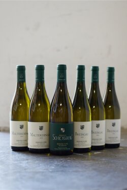 Huber B. - Chardonnay Schlossberg GG 2023 im Paket *L1 *C