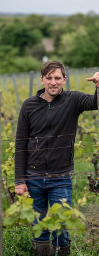 Discover Weingut Seckinger (6 bottle tasting set)