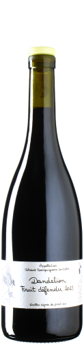 Dandelion - Pinot Noir Fruit Défendu 2023 *L3