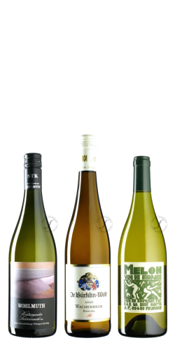 »Wine with Fish« (3 bottle tasting set)