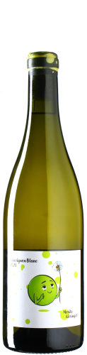 Kissinger - Sauvignon Blanc 2023 *bio *L2
