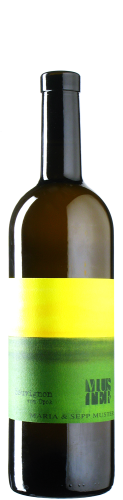 Muster - Sauvignon Blanc vom Opok 2023 *bio
