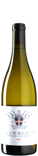 Saalwächter - Silvaner Alte Reben 2023
