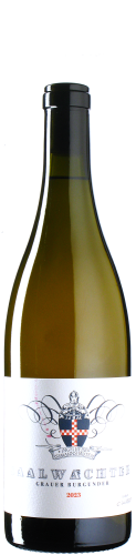 Saalwächter - Grauer Burgunder 2023 *L6