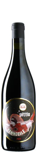 Pittnauer - Pannobile 2022 *bio