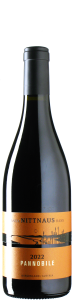 Nittnaus - Pannobile 2022 *bio