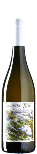 KTCN - Sauvignon Blow 2024 *bio
