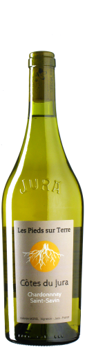 Pieds sur Terre - Chardonnay Saint-Savin 2022 *bio *L6