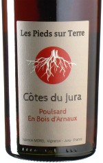 Pieds sur Terre - Poulsard Bois dArnaux 2023 *bio