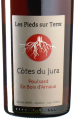 Pieds sur Terre - Poulsard Bois dArnaux 2023 *bio