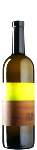 Muster - Morillon Graf 2022 *bio