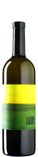 Muster - Opok 2022 *bio