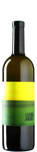 Muster - Opok 2022 *bio