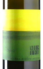Muster - Opok 2022 *bio